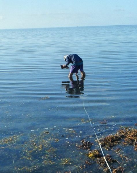 20.-Smathers-Beach-Biological-Survey